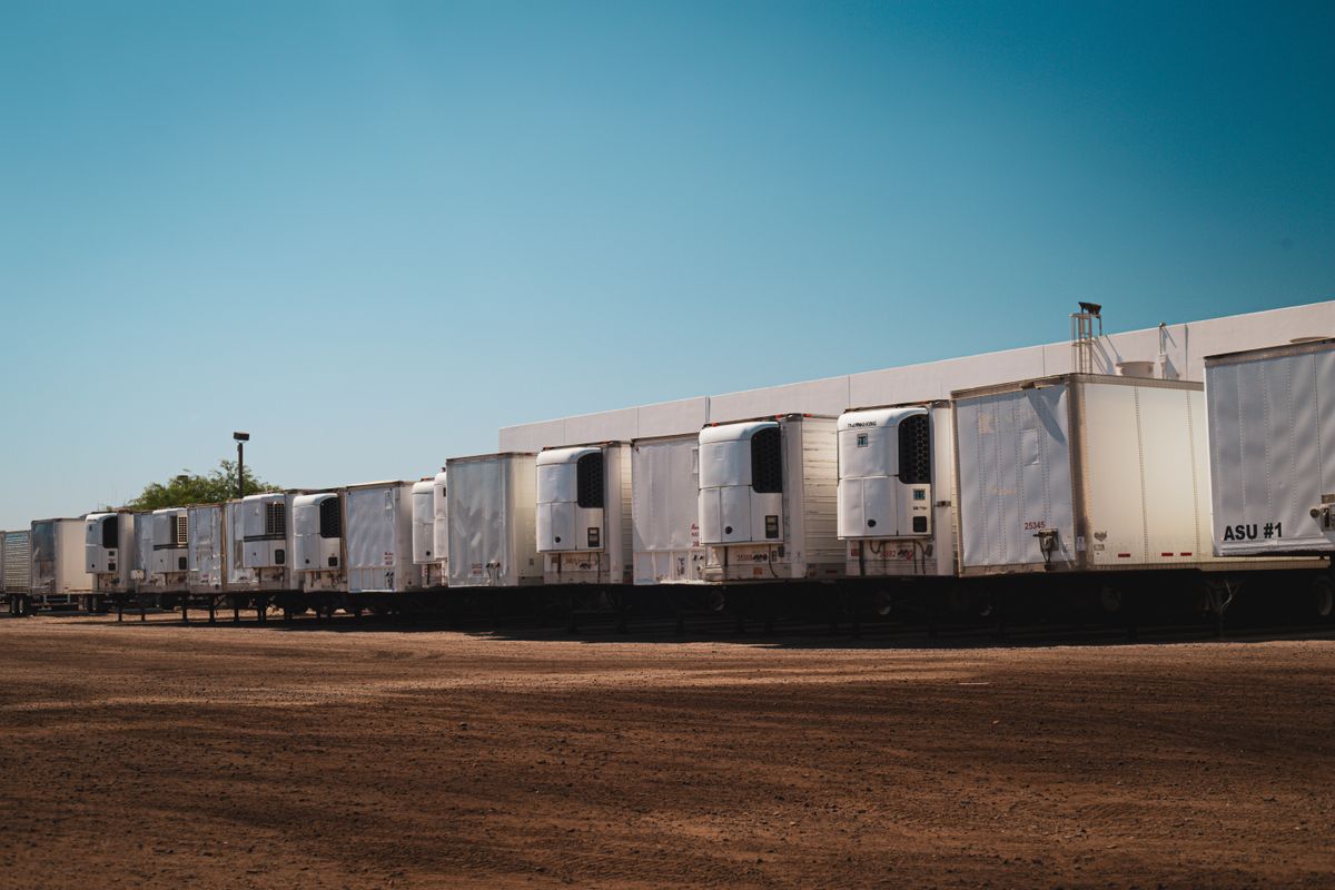 Refrigerated Transport for cross-border freight from Johannesburg, Niraida Logistics